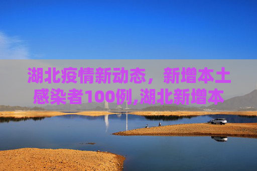 湖北疫情新动态，新增本土感染者100例,湖北新增本土感染者100例