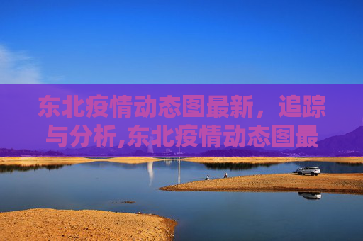 东北疫情动态图最新，追踪与分析,东北疫情动态图最新