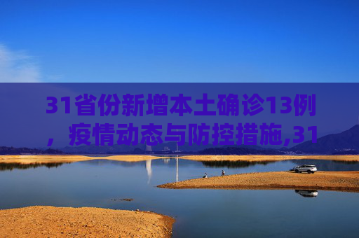 31省份新增本土确诊13例，疫情动态与防控措施,31省份新增本土确诊13例