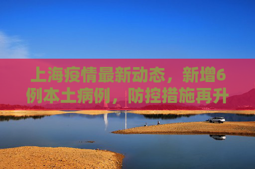 上海疫情最新动态，新增6例本土病例，防控措施再升级,上海新增6例
