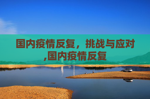 国内疫情反复，挑战与应对,国内疫情反复