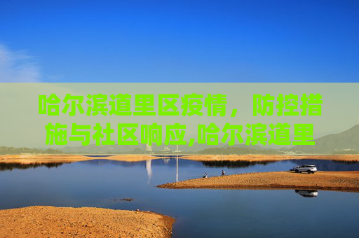 哈尔滨道里区疫情，防控措施与社区响应,哈尔滨道里区疫情