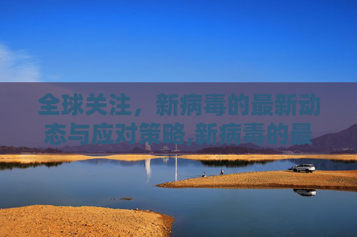 全球关注，新病毒的最新动态与应对策略,新病毒的最新消息
