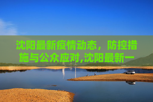 沈阳最新疫情动态，防控措施与公众应对,沈阳最新一例疫情