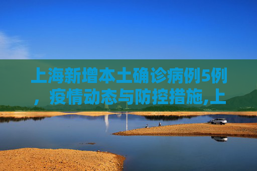 上海新增本土确诊病例5例，疫情动态与防控措施,上海新增本土确诊病例5例的简单介绍