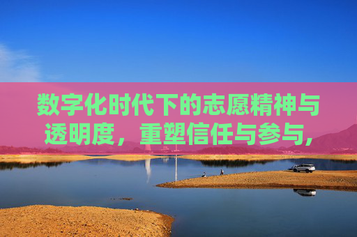 数字化时代下的志愿精神与透明度，重塑信任与参与,数字化时代下的志愿精神与透明度