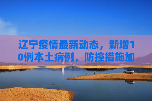 辽宁疫情最新动态，新增10例本土病例，防控措施加强,辽宁新增10例本土