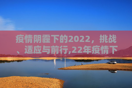 疫情阴霾下的2022，挑战、适应与前行,22年疫情下的年终总结