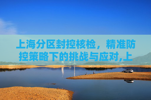 上海分区封控核检，精准防控策略下的挑战与应对,上海分区封控核检