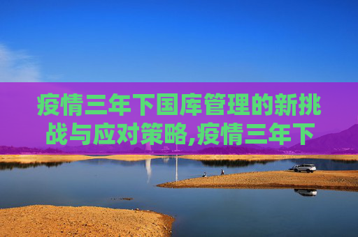 疫情三年下国库管理的新挑战与应对策略,疫情三年下国库管理的新挑战与应对策略