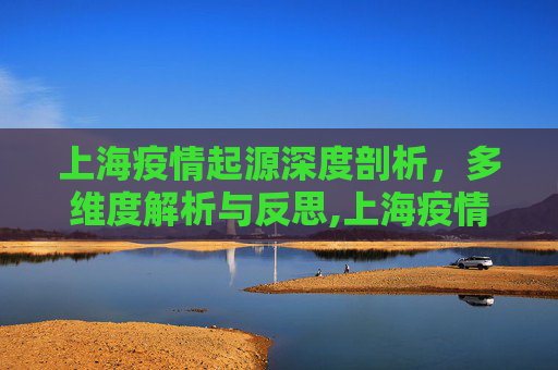 上海疫情起源深度剖析，多维度解析与反思,上海疫情起源深度剖析