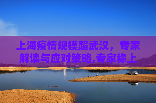 上海疫情规模超武汉，专家解读与应对策略,专家称上海这次疫情规模比武汉大