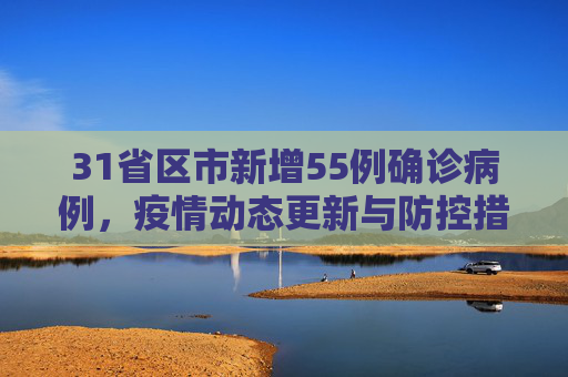 31省区市新增55例确诊病例，疫情动态更新与防控措施,31省区市新增55例确诊病例