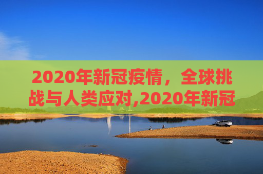 2020年新冠疫情，全球挑战与人类应对,2020年新冠疫情