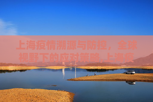 上海疫情溯源与防控，全球视野下的应对策略,上海疫情溯源、防控与全球视野