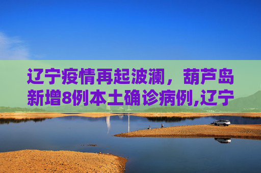 辽宁疫情再起波澜，葫芦岛新增8例本土确诊病例,辽宁新增8例本土确诊在葫芦岛