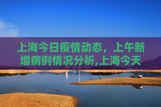 上海今日疫情动态，上午新增病例情况分析,上海今天上午新增病例