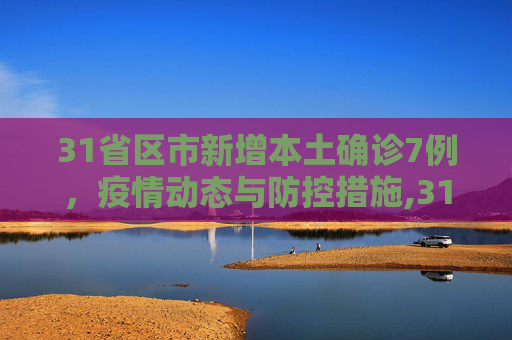31省区市新增本土确诊7例，疫情动态与防控措施,31省区市新增本土确诊7例