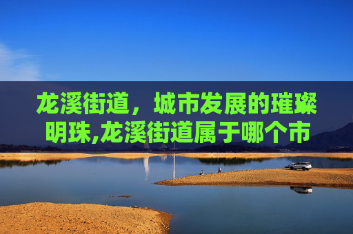 龙溪街道，城市发展的璀璨明珠,龙溪街道属于哪个市
