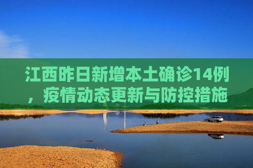 江西昨日新增本土确诊14例，疫情动态更新与防控措施,江西昨日新增本土确诊14例