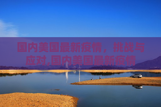 国内美国最新疫情，挑战与应对,国内美国最新疫情