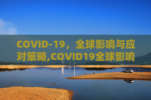COVID-19，全球影响与应对策略,COVID19全球影响与应对策略