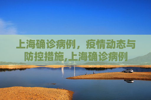 上海确诊病例，疫情动态与防控措施,上海确诊病例