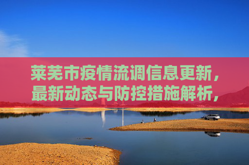 莱芜市疫情流调信息更新，最新动态与防控措施解析,莱芜最新疫情流调信息