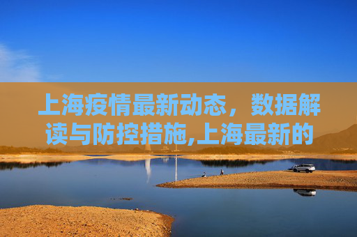 上海疫情最新动态，数据解读与防控措施,上海最新的疫情数据