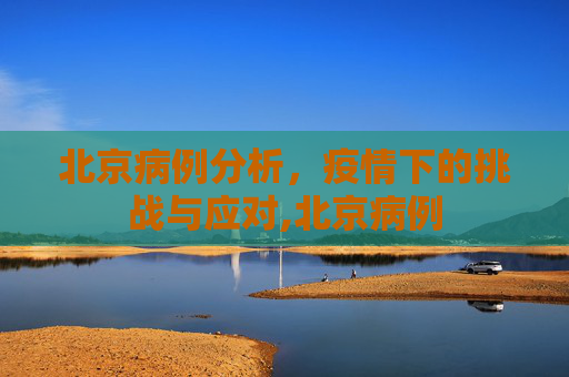 北京病例分析，疫情下的挑战与应对,北京病例