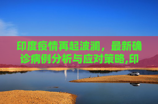 印度疫情再起波澜，最新确诊病例分析与应对策略,印度最新疫情确诊病例