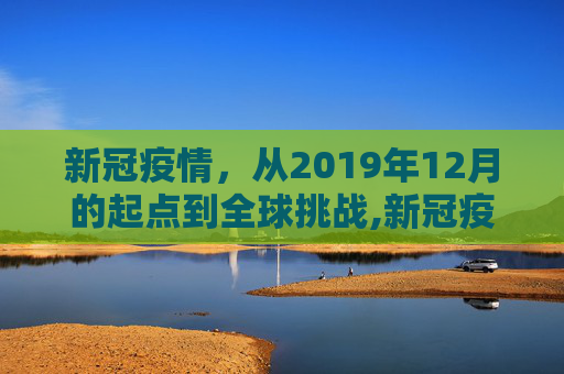 新冠疫情，从2019年12月的起点到全球挑战,新冠疫情始于2019年12月