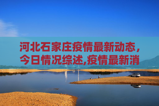 河北石家庄疫情最新动态，今日情况综述,疫情最新消息今天河北石家庄