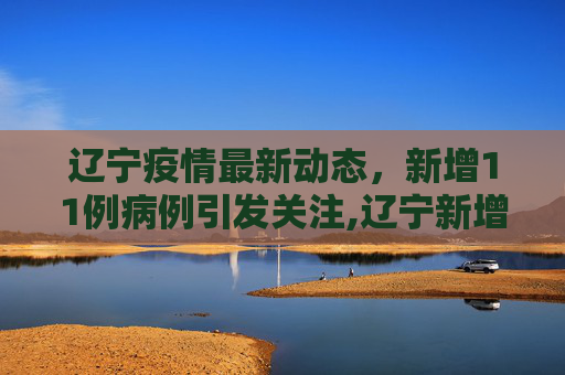 辽宁疫情最新动态，新增11例病例引发关注,辽宁新增11例