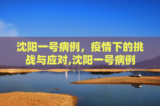 沈阳一号病例，疫情下的挑战与应对,沈阳一号病例