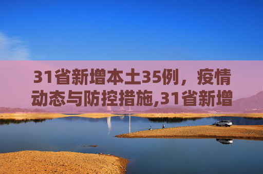 31省新增本土35例，疫情动态与防控措施,31省新增本土35例