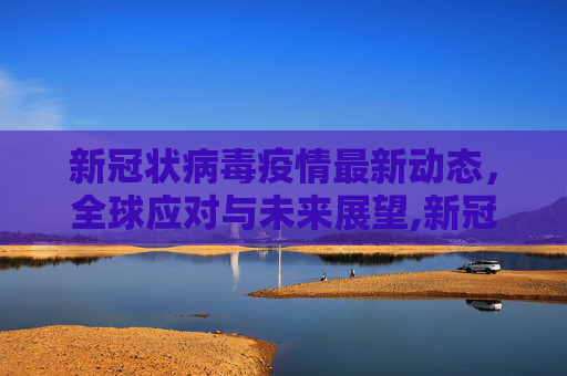 新冠状病毒疫情最新动态，全球应对与未来展望,新冠状病毒疫情最新