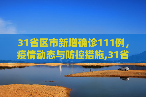31省区市新增确诊111例，疫情动态与防控措施,31省区市新增确诊111例