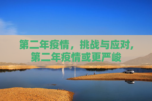 第二年疫情，挑战与应对,第二年疫情或更严峻