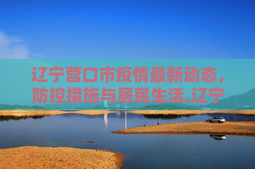 辽宁营口市疫情最新动态，防控措施与居民生活,辽宁营口市有疫情吗