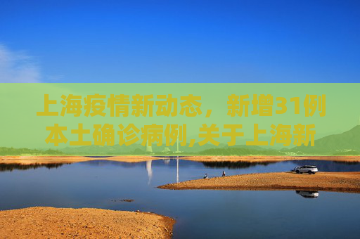 上海疫情新动态，新增31例本土确诊病例,关于上海新增31例本土确诊病例的信息
