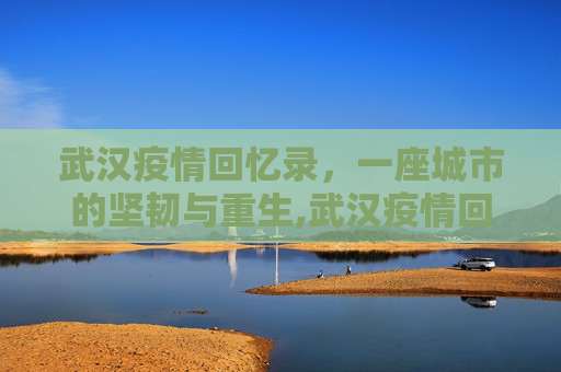 武汉疫情回忆录，一座城市的坚韧与重生,武汉疫情回忆录