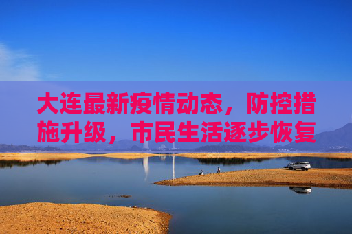 大连最新疫情动态，防控措施升级，市民生活逐步恢复,大连最新疫情最新消息