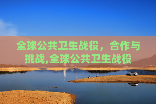 全球公共卫生战役，合作与挑战,全球公共卫生战役