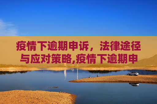 疫情下逾期申诉，法律途径与应对策略,疫情下逾期申诉