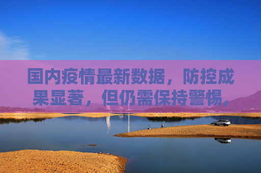 国内疫情最新数据，防控成果显著，但仍需保持警惕,国内疫情最新数据