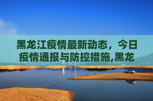 黑龙江疫情最新动态，今日疫情通报与防控措施,黑龙江疫情最新消息今天