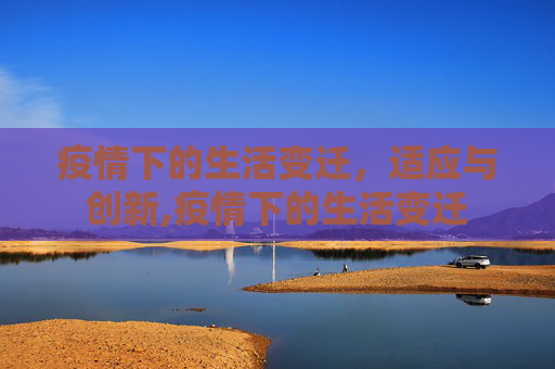疫情下的生活变迁，适应与创新,疫情下的生活变迁