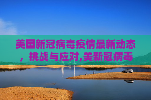 美国新冠病毒疫情最新动态，挑战与应对,美新冠病毒疫情最新
