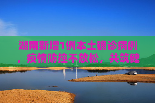湖南新增1例本土确诊病例，疫情防控不放松，共筑健康防线,湖南新增1例本土确诊病例